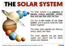 system justification