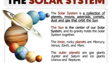system justification